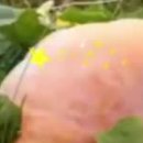 영혼의친구 이미지