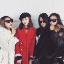 다솜