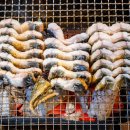 명가정통민물장어 | 기력 보충의 명가! 포항 명가정통민물장어에서 힘을 채우세요!