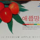 애플망고디자인 이미지