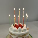 그린케이크 | 상남동 그린하우스 딸기생크림케이크 후기