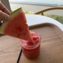 수피아포레스트