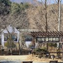 속초애견펜션양양해피플레이스