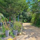 삼하리민박 이미지