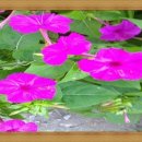 삼익공인중개사사무소 이미지