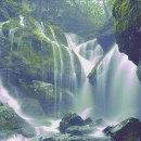 오아시스엘림 이미지