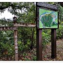 문화마을길-3 이미지