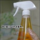 파인솔