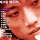 나비노래영상 이미지
