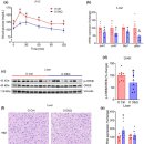 Re: senescent cell 제거 한약재... 이미지