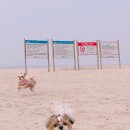 에버그린펜션 이미지