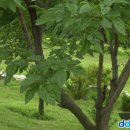 용정공원(상) 이미지