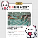 파주발랑캠핑타운 | 파주 어메이징빌리지 에어바운스 키즈카페 캠핑식당 후기