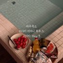 소다라 타이니 하우스 | 제주도 - 서귀포시 숙소 ‘소다라 타이니 하우스 소다라 tiny 3’