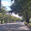 남대천식당 이미지