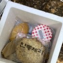 에이블리 빵지순례 후기(코코로카라, 씨스터브레드, 만동제과, 양과점)