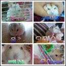 밀크PC 이미지