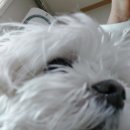 김천 내일동물병원 이미지