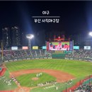정관장동백 | 부산 롯데자이언츠 사직야구장 4월 직관 후기 좌석별 정리