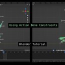 action bone constraints 이미지