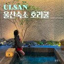 몽돌스테이 | 부산 근교 감성숙소 울산 신상 독채 풀빌라 스테이 호리굴 후기