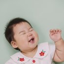 종려나무사진관