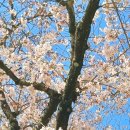 안양천뷰 이미지