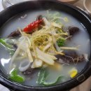 직장인블로거던 내가, 하루아침에 댄서판 입문?! (2021년 12월)