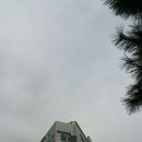 동화조경농원 이미지