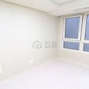 비즈트위트 레인보우 이미지