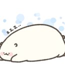 장성상회 이미지