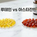 카톨릭대학약국 | 루테인 아스타잔틴 차이, 3년간 둘 다 먹어본 사람이 알려주는 진짜 선택법