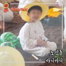 강릉 키즈카페 바니바니 (구 헬로밀가루) 대만족 방문후기 :)