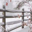 손끝발끝 - 성남시 수정구 성남대로1179번길 8 | 손끝발끝