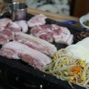 뿔난돼지 이미지