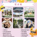 2026년 함평나비축제 다녀왔어요.🦋 아이와 가기 좋은 봄 축제 후기