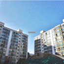 세류동 Daum카페