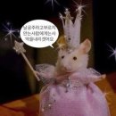 [Wedding | 부산 웨딩드레스 루나스포사(추가금있음)후기🤍26.03 기준💭]