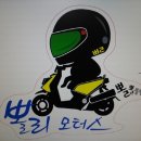 뽈리모터스