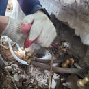 바로크설비 이미지