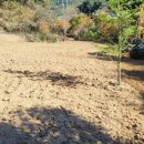 잣나무골 이미지