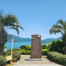 까멜리아 이미지