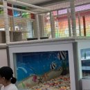 점핑파크 죽전점 이미지