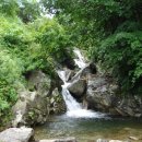 장흥농협송추지점 이미지