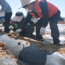 파주시정신건강복지센터 이미지