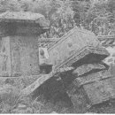 남원 실상사 백장암 석등 | 전북 남원 실상사 백장암석탑 및 석등 도굴(1980년 2월 2일)