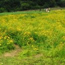 산상목장 이미지