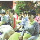 포정원 Daum카페
