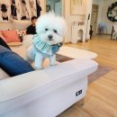 옥토하우스 이미지