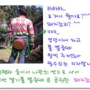 주식농장 이미지